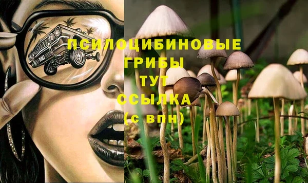 ПСИЛОЦИБИНОВЫЕ ГРИБЫ Алзамай