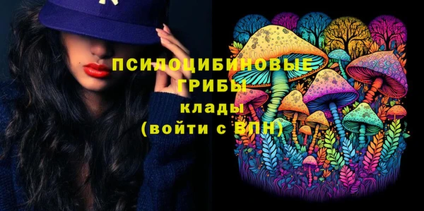 ECSTASY Алексин