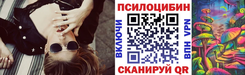 дарнет шоп  Вилючинск  Галлюциногенные грибы ЛСД 